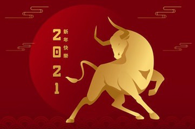 順動(dòng)國際傳媒全體員工在此祝您新年快樂！